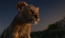 The Lion King - Photo Gallery