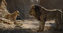 The Lion King - Photo Gallery