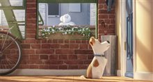 The Secret Life of Pets - Photo Gallery