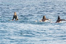 The Shallows - Photo Gallery