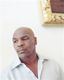 Tyson - Photo Gallery