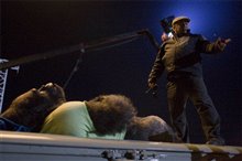 Zookeeper - Photo Gallery