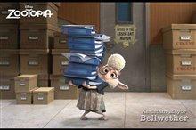 Zootopia - Photo Gallery