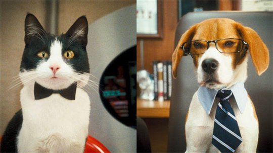 Cats & Dogs: The Revenge of Kitty Galore - Photo Gallery