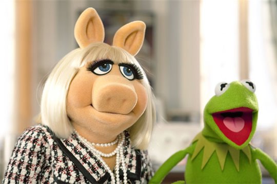 The Muppets - Photo Gallery