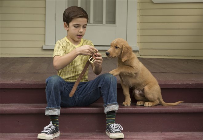 A Dog's Purpose - Photo Gallery