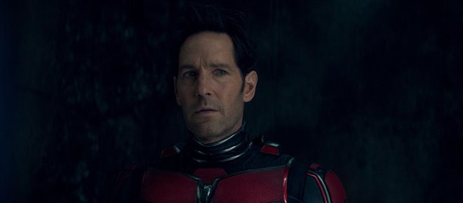 Ant-Man and The Wasp: Quantumania - Photo Gallery