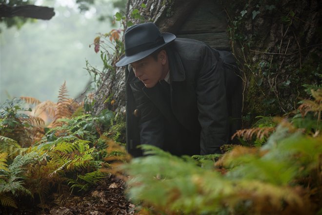 Christopher Robin - Photo Gallery