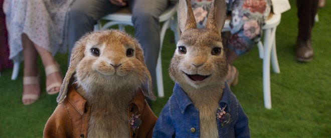 Peter Rabbit 2: The Runaway - Photo Gallery