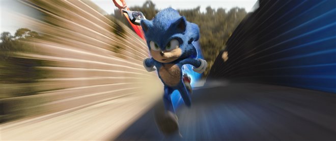 Sonic the Hedgehog - Photo Gallery