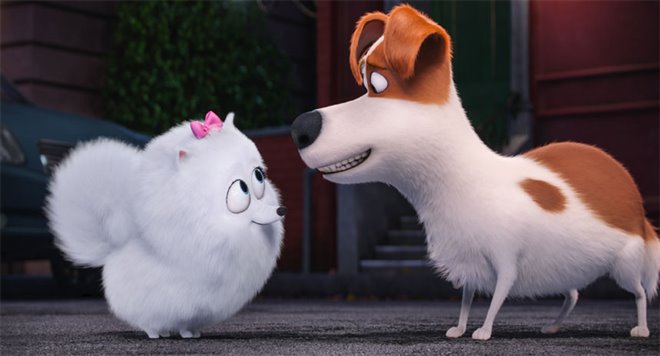 The Secret Life of Pets - Photo Gallery