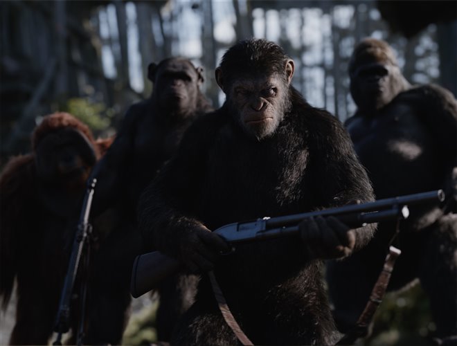 War for the Planet of the Apes - Photo Gallery