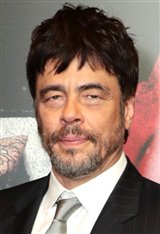 Benicio Del Toro Photo