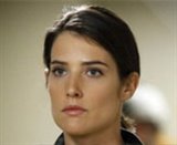 Cobie Smulders Photo