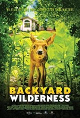 Backyard Wilderness 3D Poster