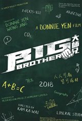 Big Brother Movie Poster