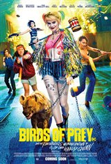 Birds of Prey Movie Poster