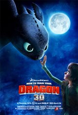 How to Train Your Dragon 3D Movie Poster