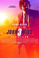 John Wick: Chapter 3 - Parabellum Poster