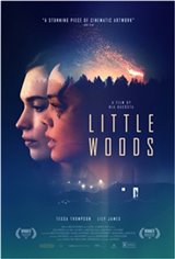 Little Woods Movie Poster