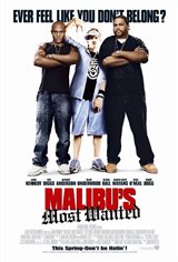 Malibu's Most Wanted Movie Poster