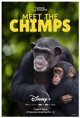 Meet the Chimps (Disney+) Movie Poster