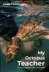 My Octopus Teacher (Netflix) Movie Poster