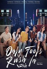 fools rush in movie summary