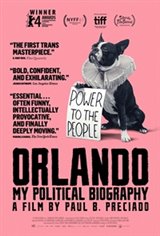 Orlando, My Political Biography Movie Poster