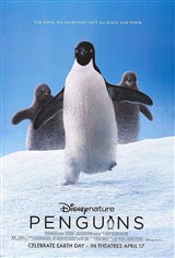 Penguins Movie Poster