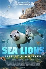 Sea Lions: Life by a Whisker Poster