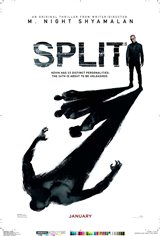 Split Poster