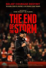 The End of the Storm Poster