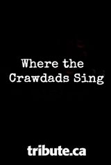 Where the Crawdads Sing Movie Poster