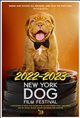 2022 NY DOG FILM FESTIVAL Movie Poster