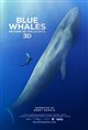 Blue Whales: Return of the Giants 3D Movie Poster