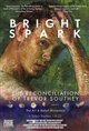 Bright Spark: The Reconciliation of Trevor Southey Movie Poster