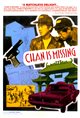 Chan is Missing Movie Poster