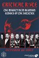 Critical Role - The Mighty Nein Reunion: Echoes of the Solstice Movie Poster