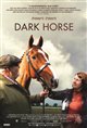 Dark Horse Movie Poster