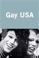 Gay USA Movie Poster