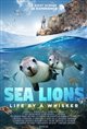 Sea Lions: Life by a Whisker Movie Poster