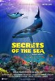 Secrets of the Sea 3D Movie Poster