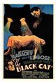 The Black Cat Movie Poster
