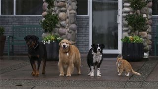 CATS & DOGS 3: PAWS UNITE! Trailer