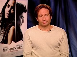 David Duchovny (Things We Lost in the Fire)