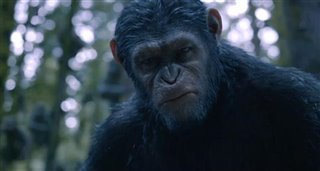 Dawn of the Planet of the Apes movie clip - Go