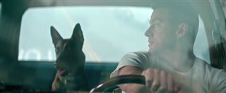DOG Trailer