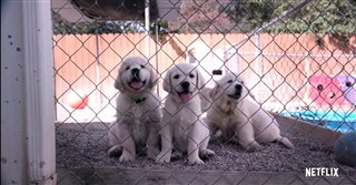 DOGS - Season 1 Trailer