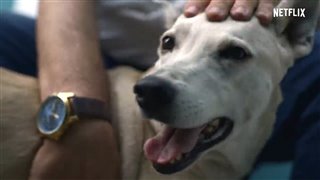 DOGS - Season 2 Trailer